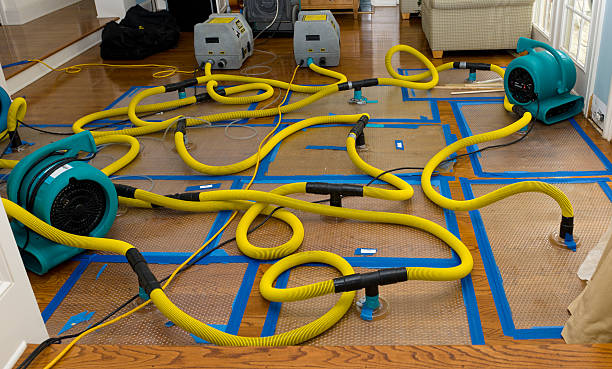 Professional Sewage Cleanup technician working in Elyria, OH